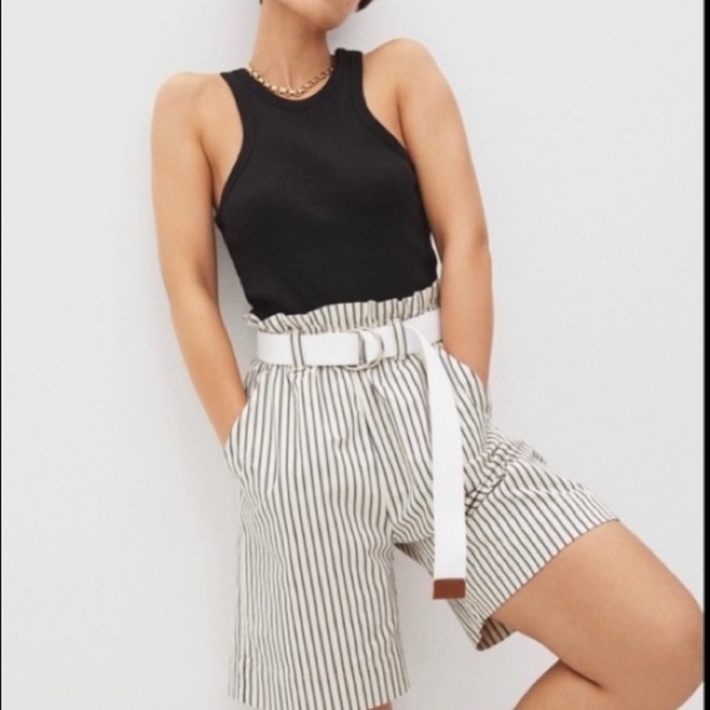 Everlane paperbag shorts (blue and cream striped)